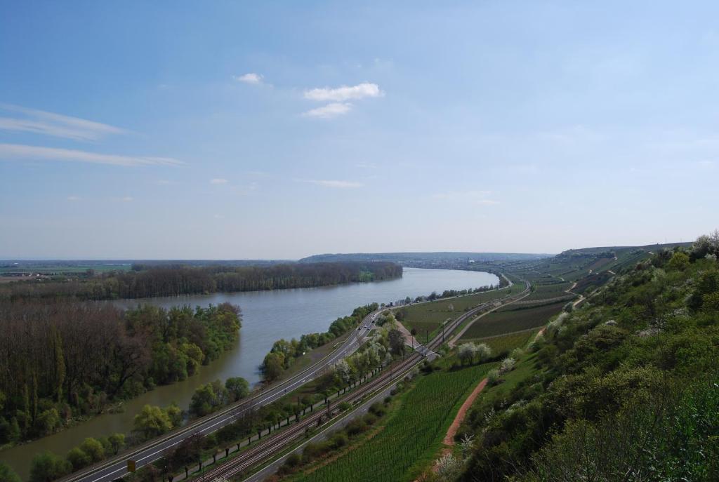 Landhotel St. Gereon Nackenheim Экстерьер фото